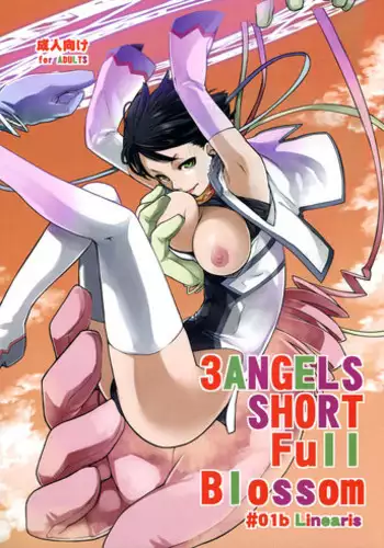 (C85) [Yokoshimanchi. (Ash Yokoshima)] 3ANGELS SHORT Full Blossom #01b Linearis